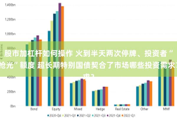 股市加杠杆如何操作 火到半天两次停牌、投资者“抢光”额度 超长期特别国债契合了市场哪些投资需求？