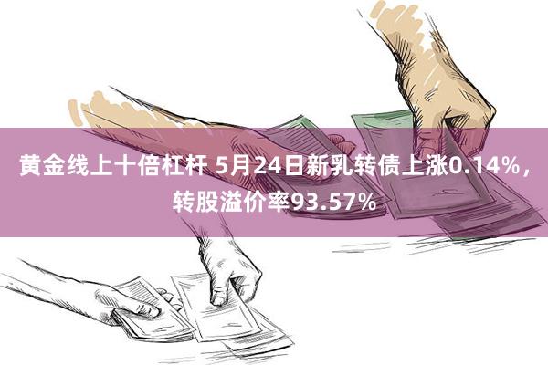 黄金线上十倍杠杆 5月24日新乳转债上涨0.14%，转股溢价率93.57%