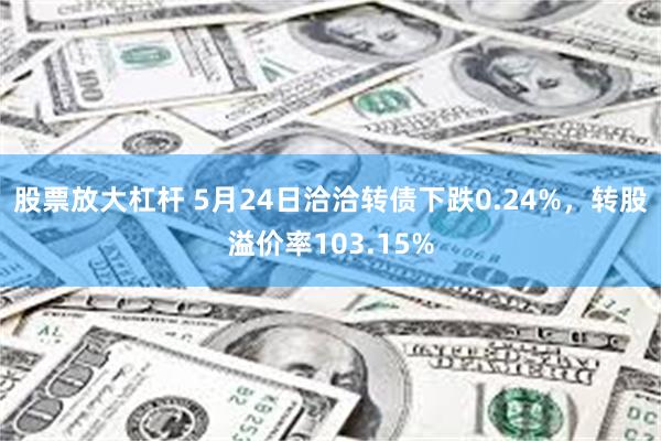 股票放大杠杆 5月24日洽洽转债下跌0.24%，转股溢价率103.15%