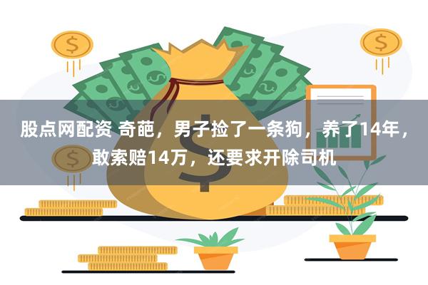 股点网配资 奇葩，男子捡了一条狗，养了14年，敢索赔14万，还要求开除司机