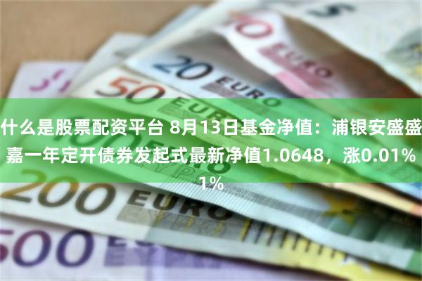 什么是股票配资平台 8月13日基金净值：浦银安盛盛嘉一年定开债券发起式最新净值1.0648，涨0.01%