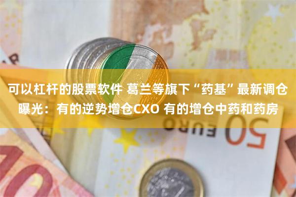 可以杠杆的股票软件 葛兰等旗下“药基”最新调仓曝光：有的逆势增仓CXO 有的增仓中药和药房