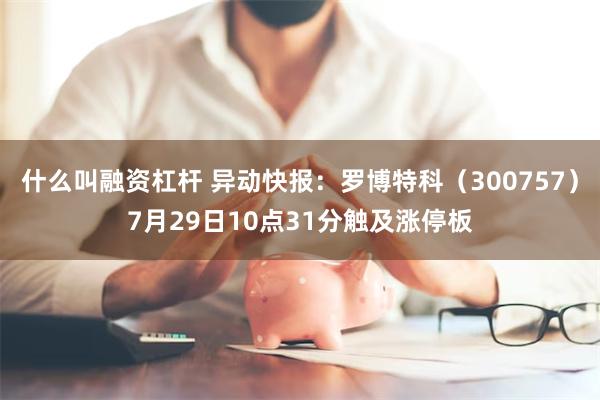 什么叫融资杠杆 异动快报：罗博特科（300757）7月29日10点31分触及涨停板