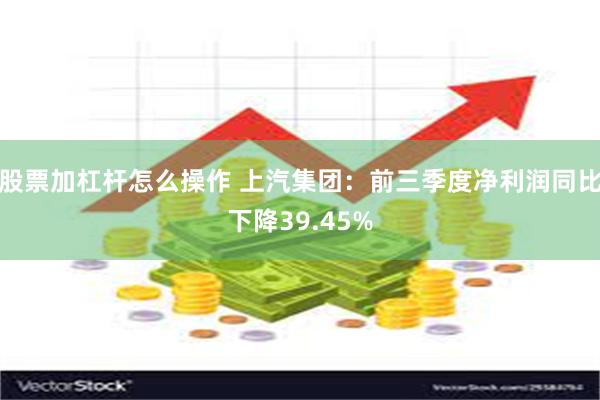 股票加杠杆怎么操作 上汽集团：前三季度净利润同比下降39.45%