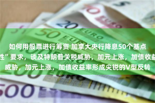 如何用股票进行筹资 加拿大央行降息50个基点，行长宣布抛弃“限制性”要求，谈及特朗普关税威胁，加元上涨，加债收益率形成尖锐的V型反转