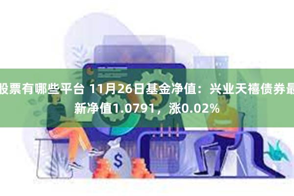 股票有哪些平台 11月26日基金净值：兴业天禧债券最新净值1.0791，涨0.02%