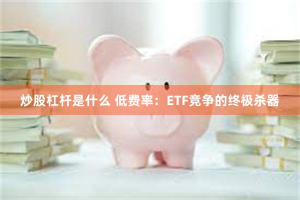 炒股杠杆是什么 低费率：ETF竞争的终极杀器