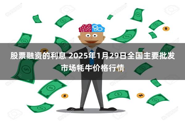 股票融资的利息 2025年1月29日全国主要批发市场牦牛价格行情